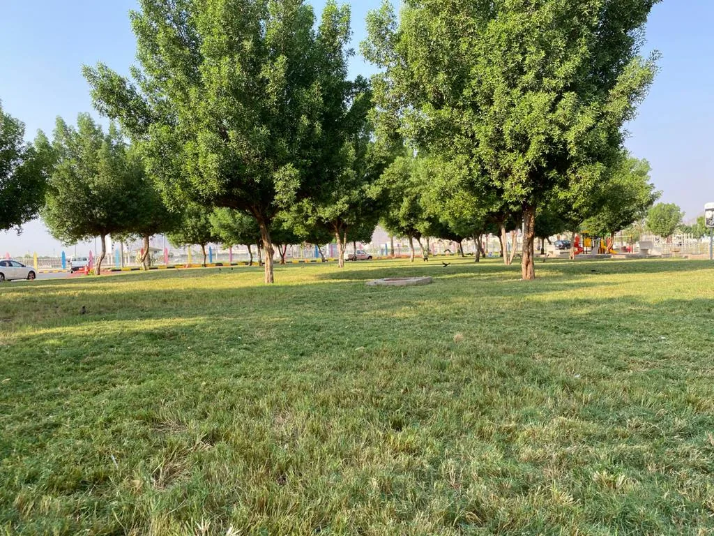 King Fahd Park in Madinah.