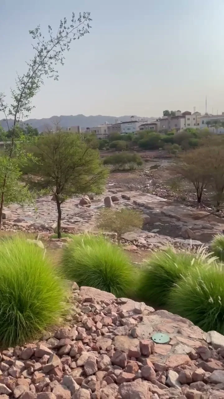 Wadi Al-Aqiq