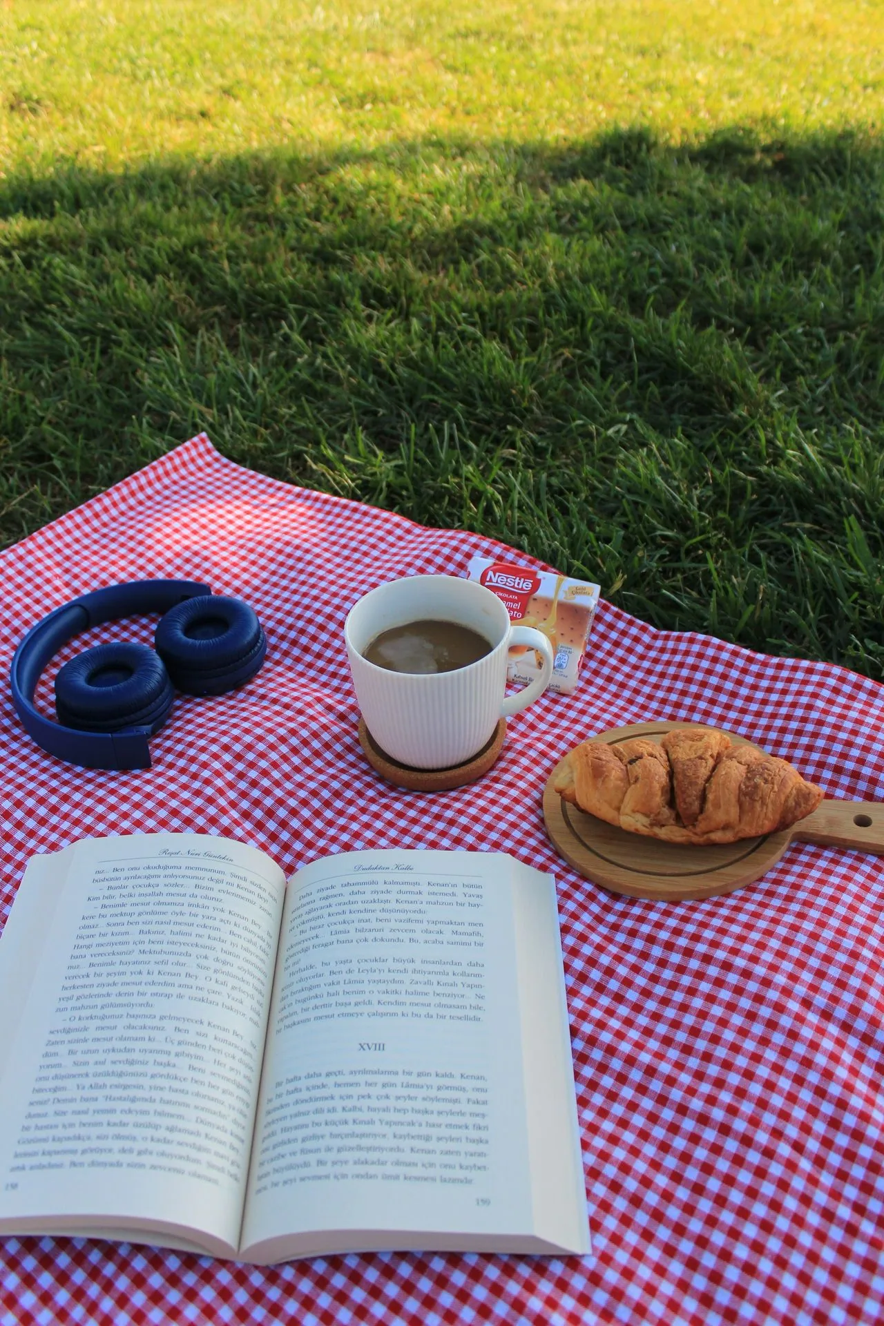 Picnic blanket with coffee and a book outdoors.