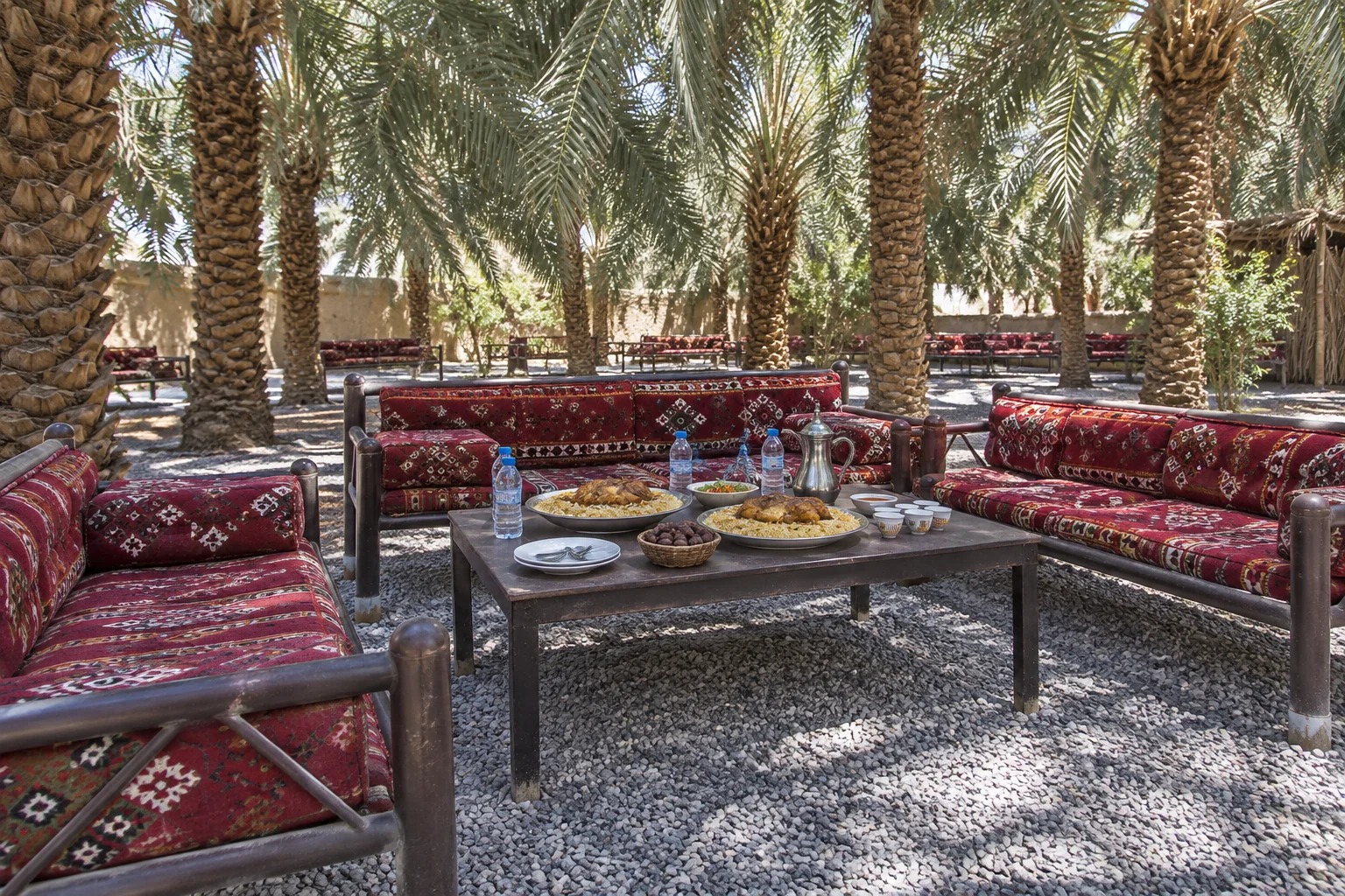 A shared chicken-and-rice meal with dates and tea among palm-grove seating.